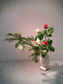 041216s3.jpg (118056 �o�C�g)