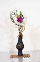 9712m020.jpg (82412 �o�C�g)