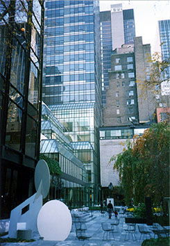 moma1.jpg